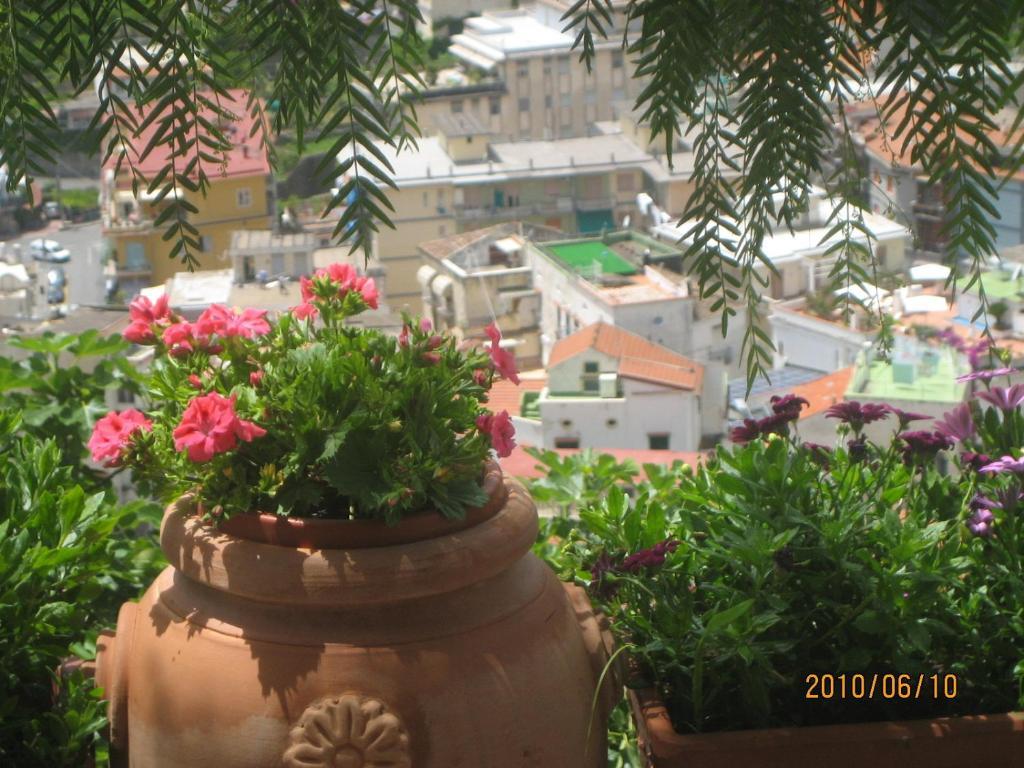 Villa Marietta Minori Eksteriør bilde