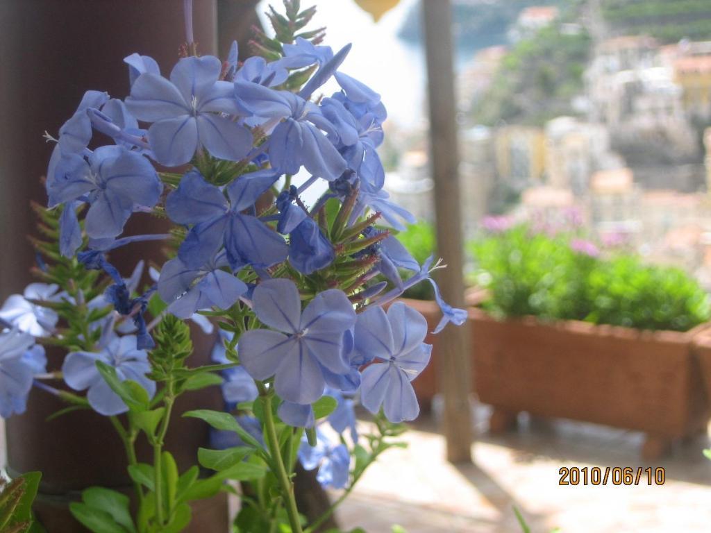 Villa Marietta Minori Eksteriør bilde