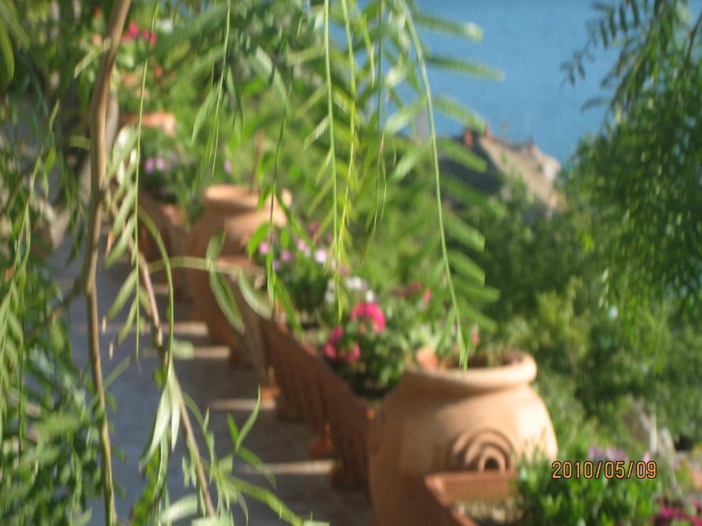 Villa Marietta Minori Eksteriør bilde